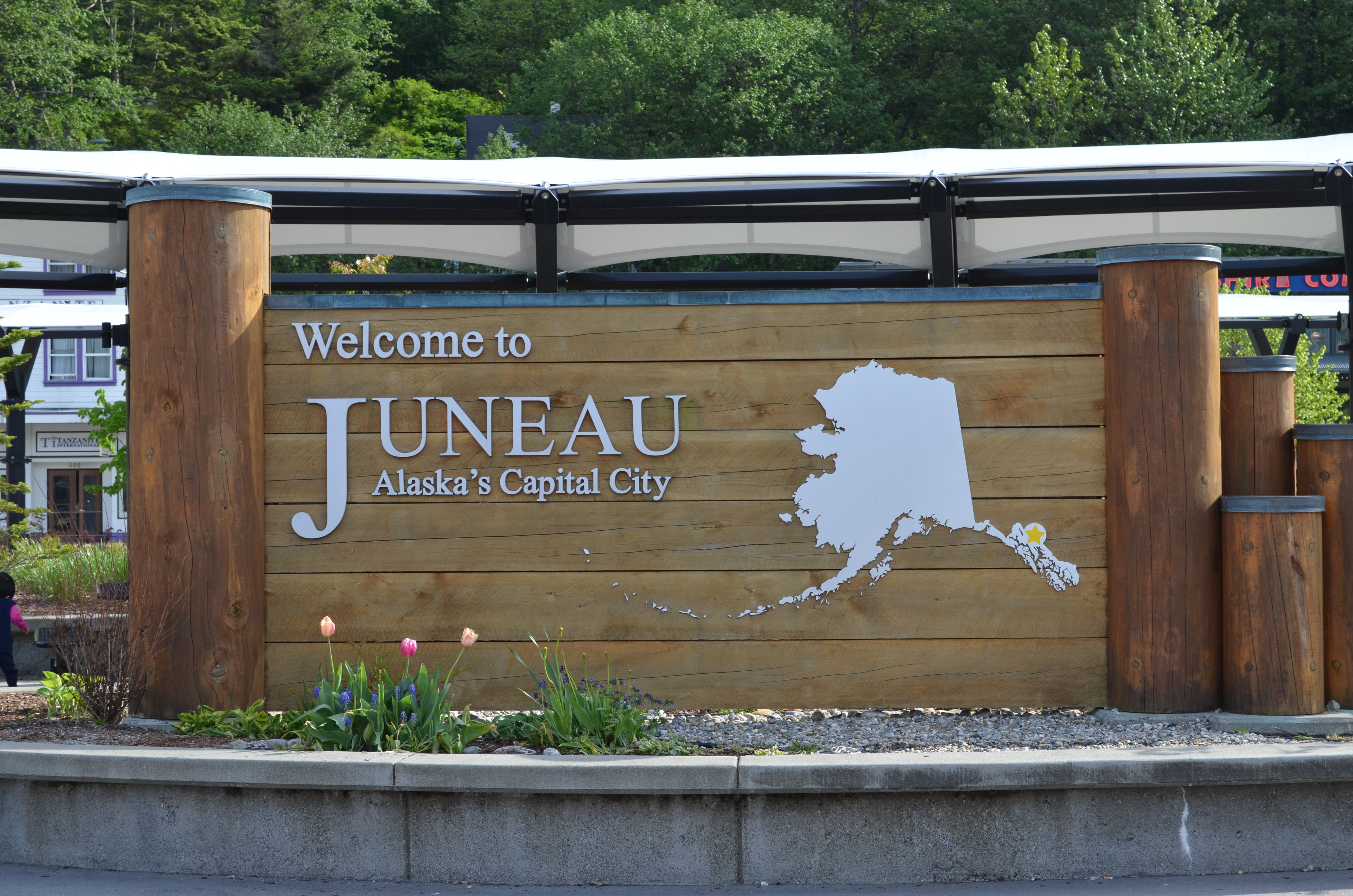 ./2017/08 - Alaska Cruise/08 - Juneau/DSC_0850.JPG